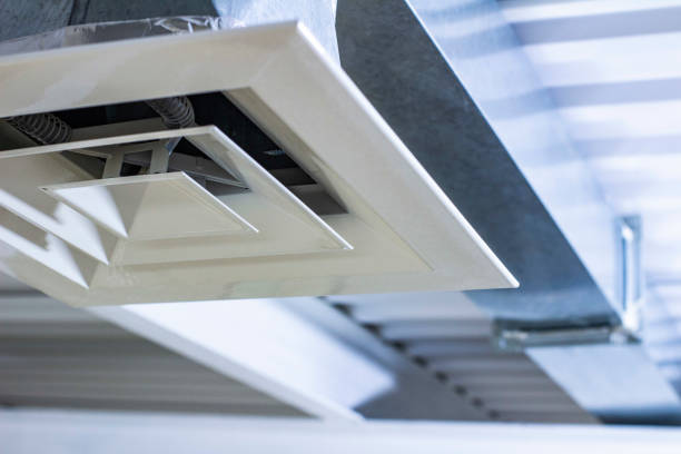 Best Air Duct Sanitizing Services  in Whitg, IN
