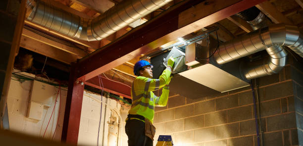 Best Affordable Air Duct Cleaning  in Whitg, IN