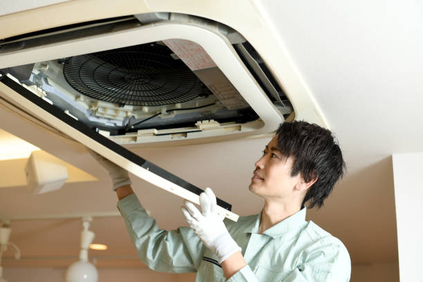 Best Air Vent Cleaning Services  in Whitg, IN